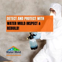 Water Mold Inspection & Rebuild image 11