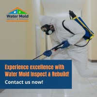 Water Mold Inspection & Rebuild image 17