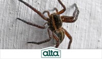 Alta Pest Control image 2