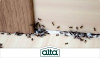 Alta Pest Control image 6