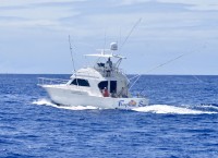 Tropical Sun Sportfishing image 3