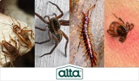 Alta Pest Control image 15