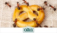 Alta Pest Control image 13