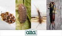 Alta Pest Control image 16