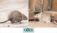 Alta Pest Control image 14