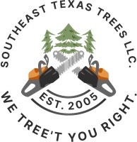 Southeast Texas Trees image 1