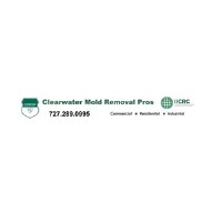 Clearwater Mold Remediation Pros image 1