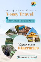 Vessy Travel image 10