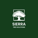  Tree Services Modesto Ca image 6