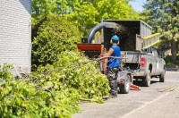  Tree Services Modesto Ca image 2