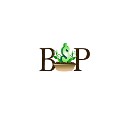 Bookkeeping Services Plus, Inc. logo