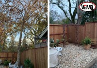 Vema tree service image 4