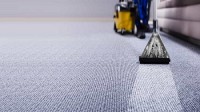 CARPET CLEANING SERVICE IN BROOKLYN image 1