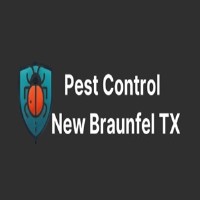 pest control new braunfels tx image 1