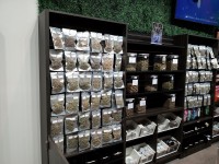 High Society Weed Dispensary Saline image 2