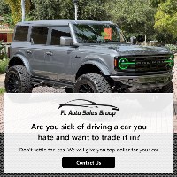 FL Auto Sales Group image 1