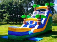 Five Little Monkeys - Bounce House, Water Slide  image 7