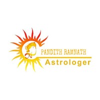 Indian Astrologer & Psychic Reading image 6