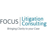 Focus Litigation image 9