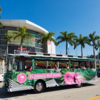 Flamingo Bus Miami image 5