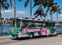 Flamingo Bus Miami image 3