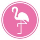 Flamingo Bus Miami logo