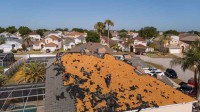 Roofer Port Charlotte image 1