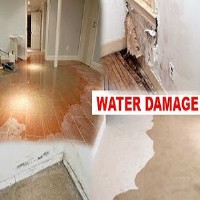 Detroit Water Damage Restoration Services image 4