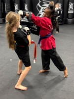 Action Karate Marlton image 9