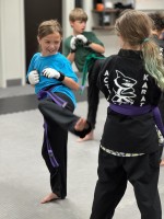 Action Karate Marlton image 10