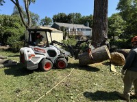 JL Tree Service image 8