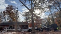 JL Tree Service image 2