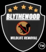 Blythewood Wildlife Removal image 1