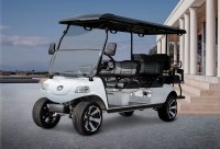 World of Golf Carts image 1