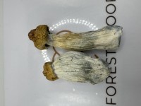 Forest Floor DC - Weed and Mushroom Dispensary image 3