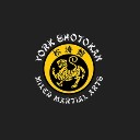 shotokan karate lessons york pa logo