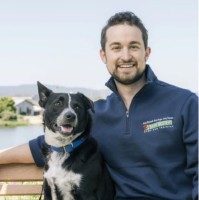 Bark Busters Home Dog Training - San Mateo County image 1