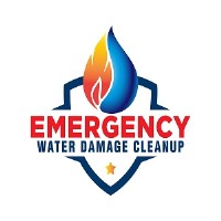 Emergency Water Damage Cleanup Southfield image 19