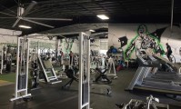 Species Gym image 3