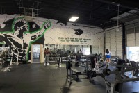 Species Gym image 6