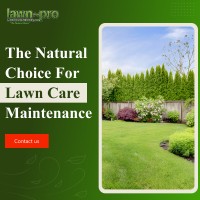 Lawn-Pro Lawncare Service image 3