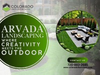 Colorado Lawn & Landscaping Service image 5