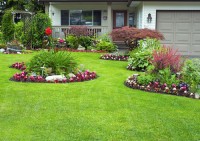 Colorado Lawn & Landscaping Service image 3