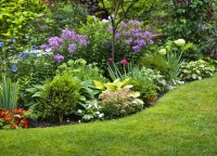 Colorado Lawn & Landscaping Service image 2