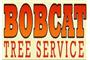Bobcat Tree Service logo