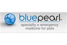 BluePearl Veterinary Partners in Gwinnett image 1