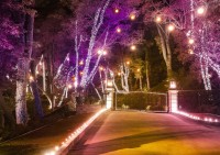 LED Landscape Lighting By J Bell image 1