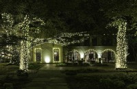 LED Landscape Lighting By J Bell image 3