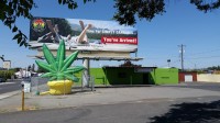 Lovely Buds Weed Dispensary Francis Ave image 12