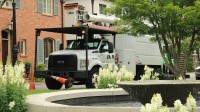 Evans Tree Service Inc. image 3